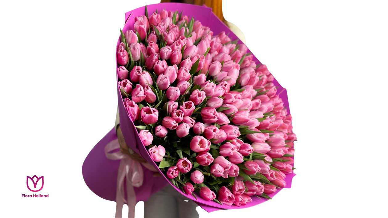 201 Tulip