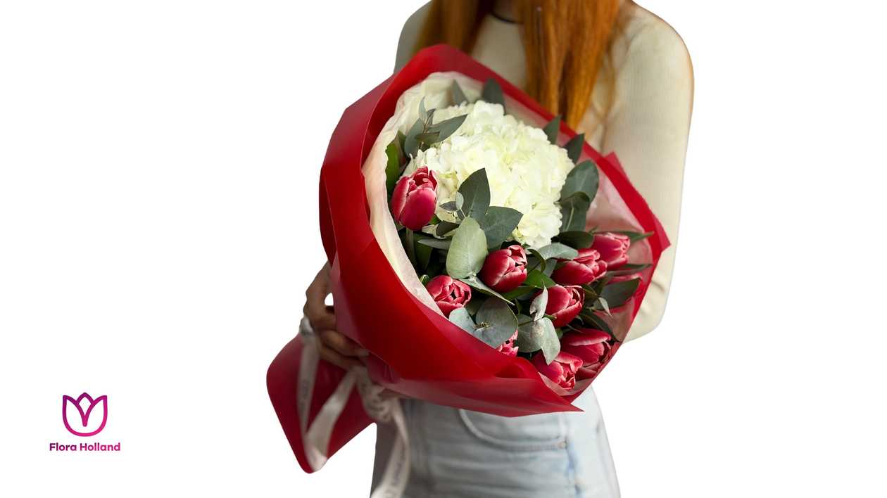 Tulip Kortenzi Mix