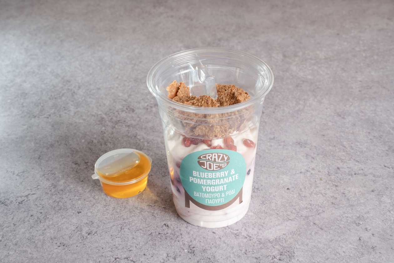 Blueberry and Pomegranate Yogurt