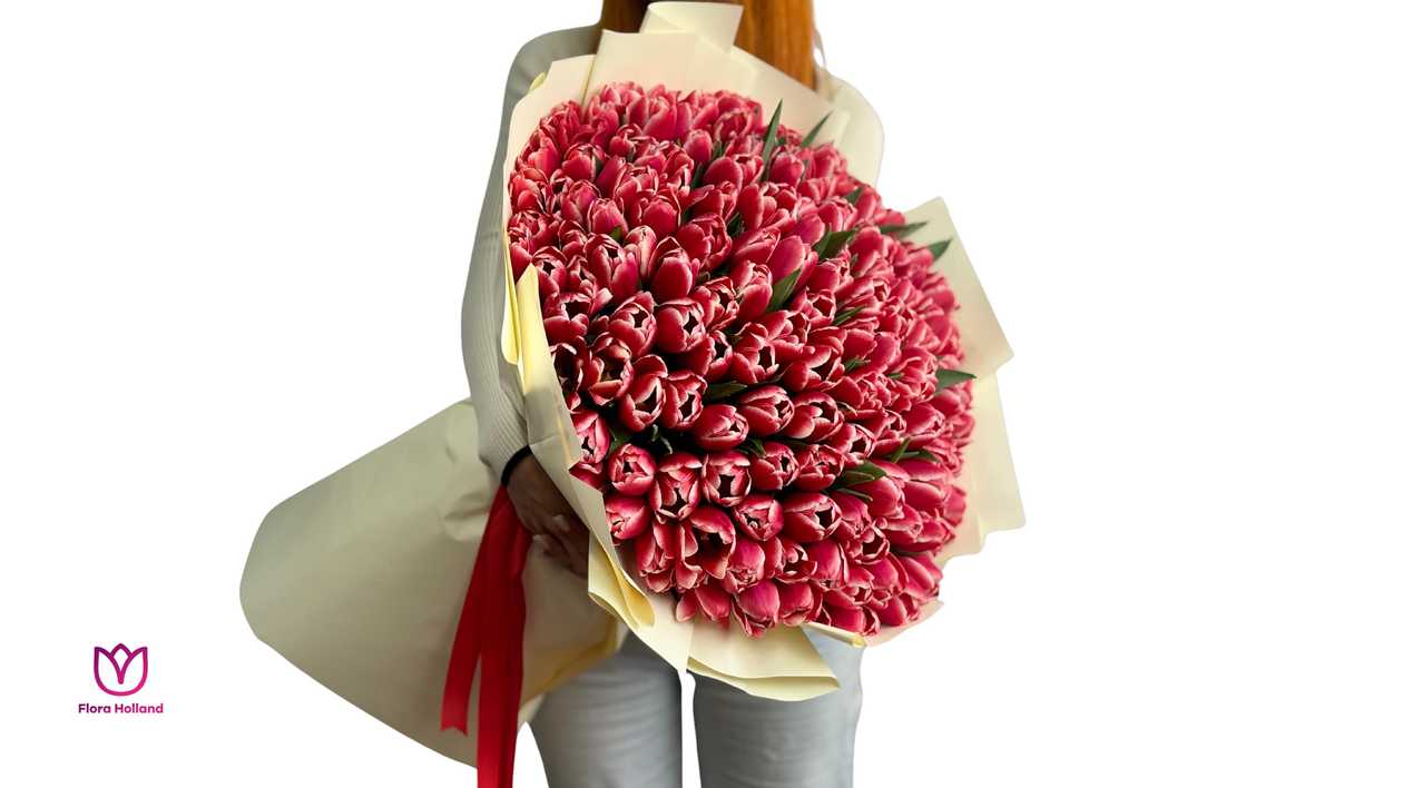 151 Tulip