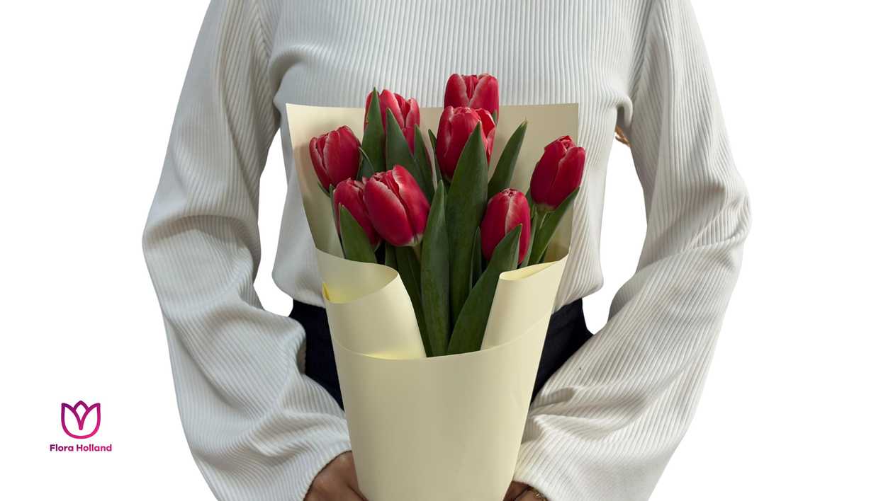 9 Tulip Bouquet