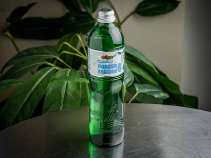 Вода Поляна Квасова(500мл)