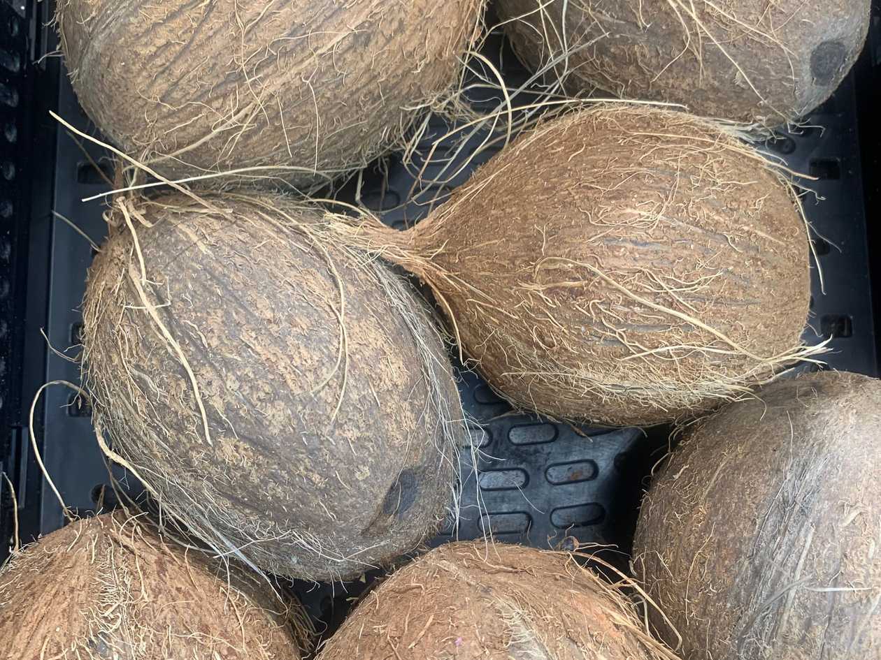 Fresh Dry Coconut