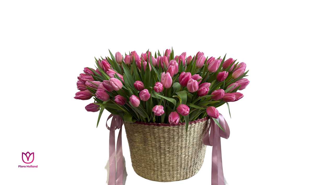 151 Tulips in a Basket