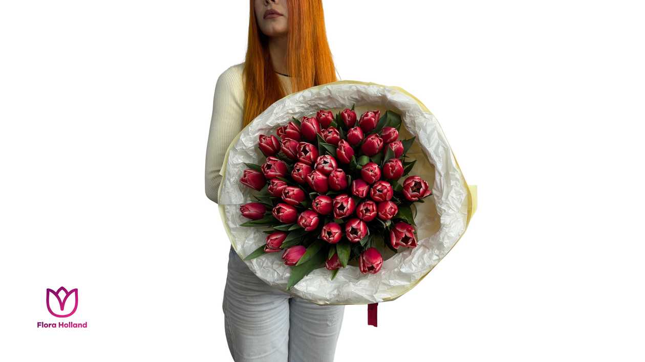 51 Red Tulip
