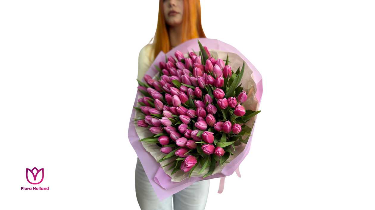 101 Tulips