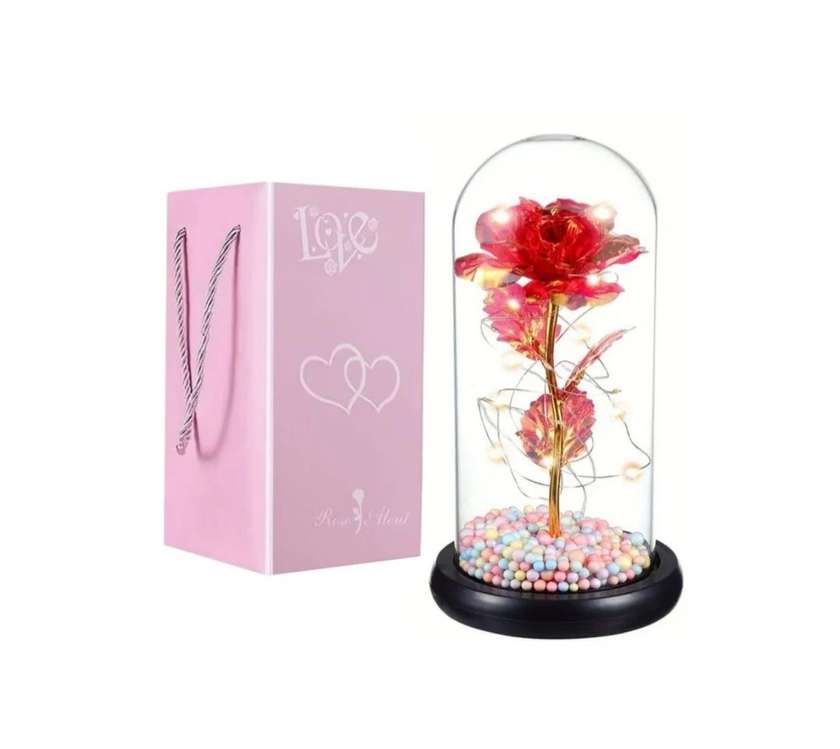 Red rose under a dome decorated with LED lights