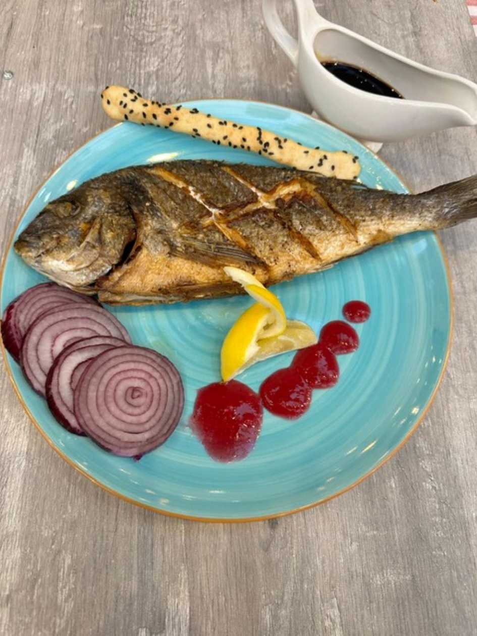 Dorado Balığı