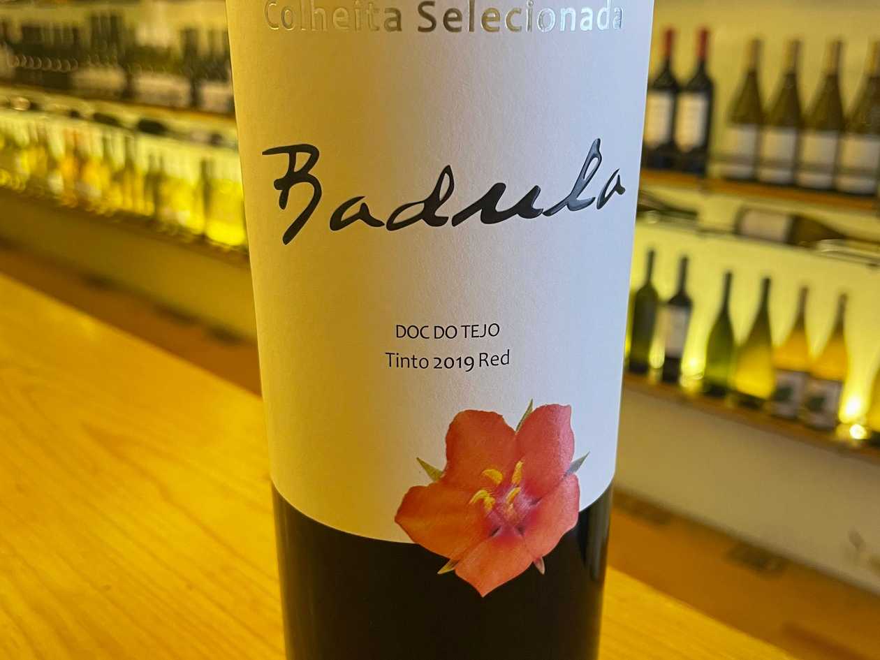 Quinta da Badula Colheita Selecionada Tinto 2021