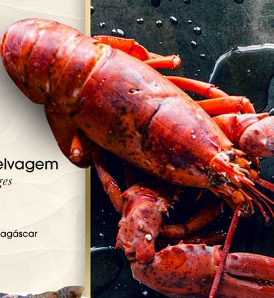 Camarão Selvagem