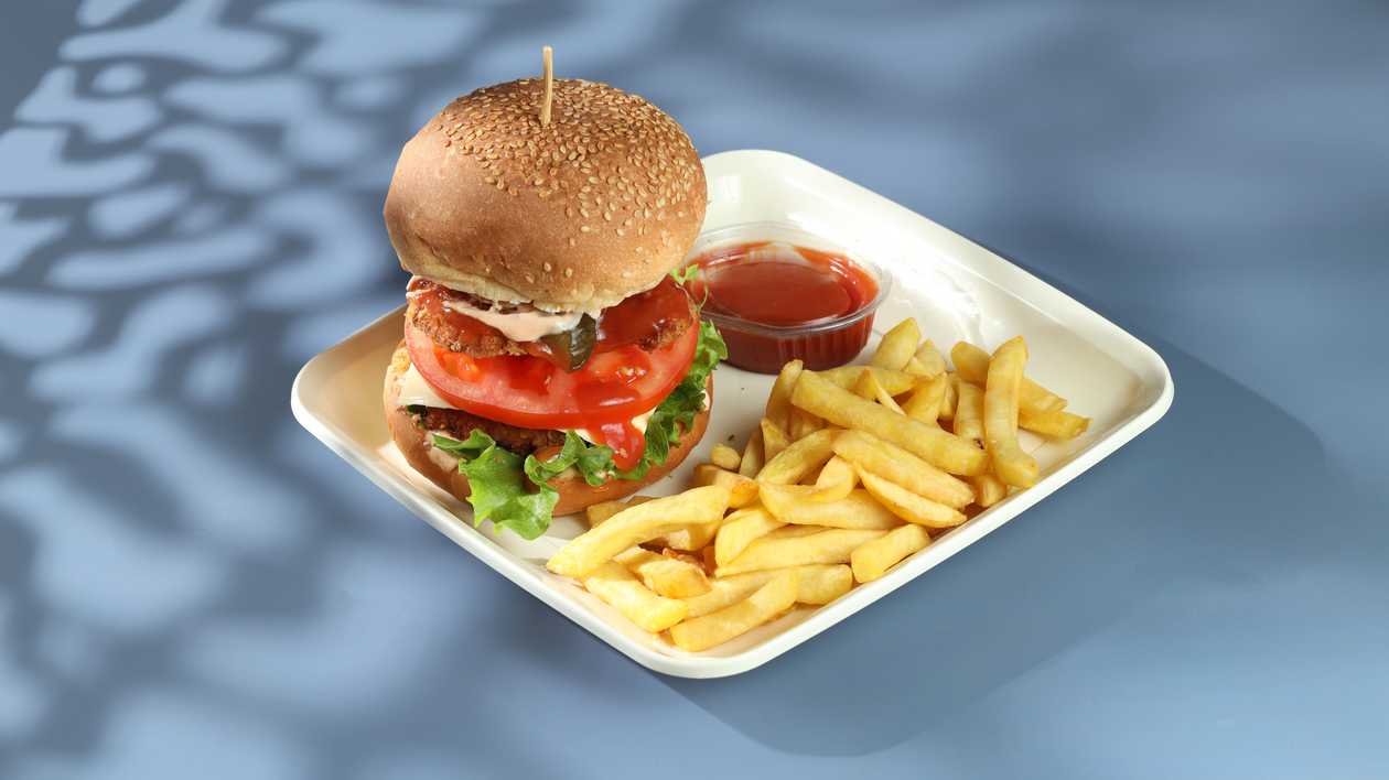 Chicken Burger ( double layer - fried) + fries + ketchup