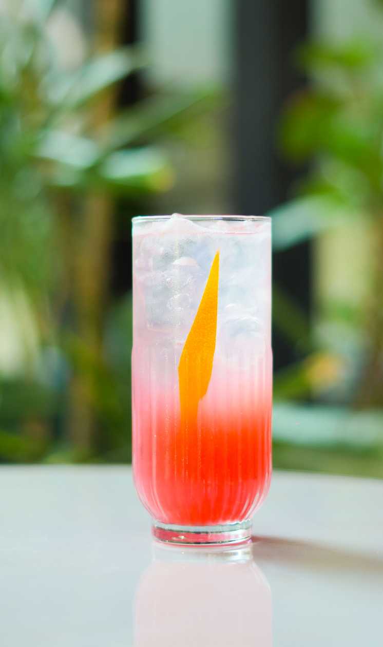Melon and Black Currant Lemonade 350 ml