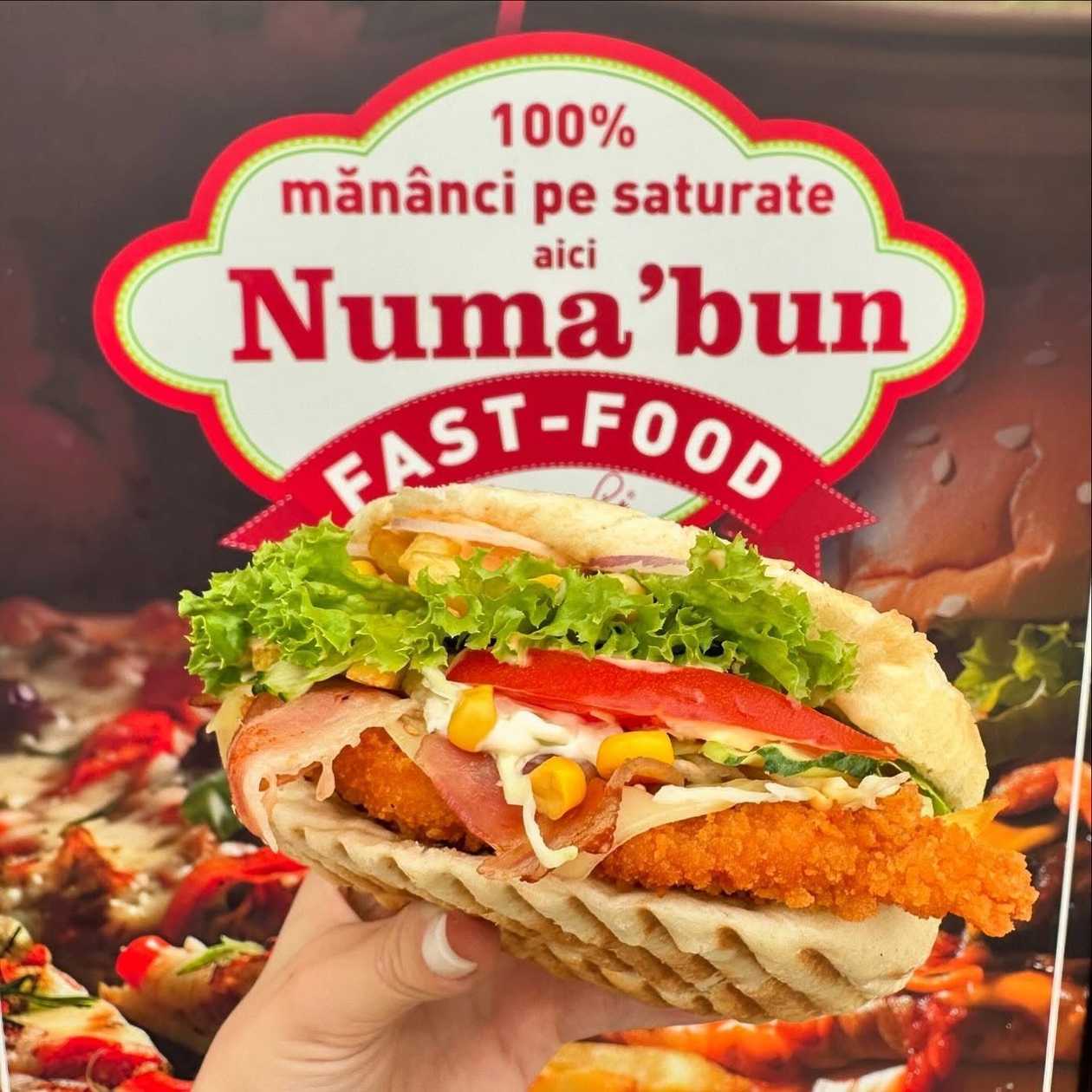 Snițel Înzestrat la Lipie