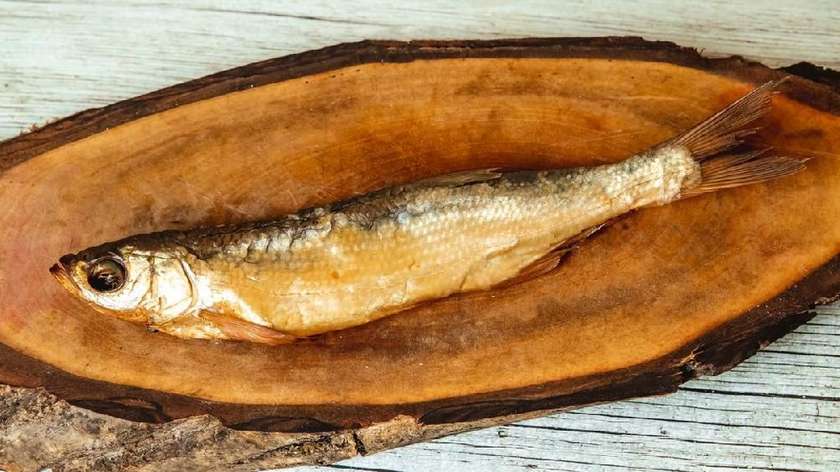 Şamayka