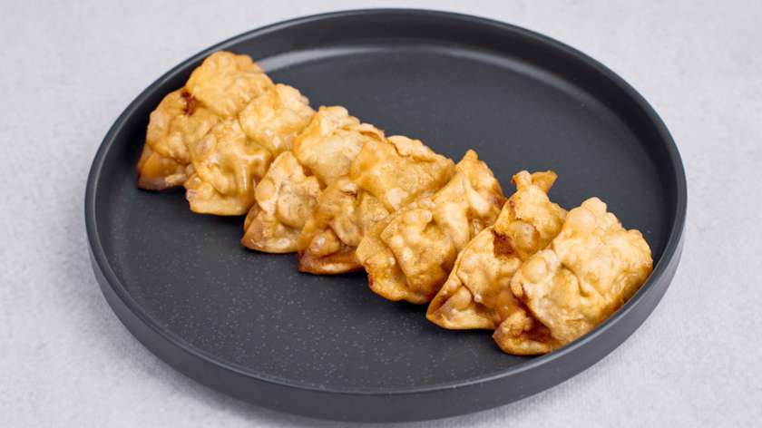 UFO gyoza dumplings with chicken & vegetables
