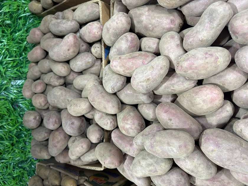 Qirmizi Kartoşka