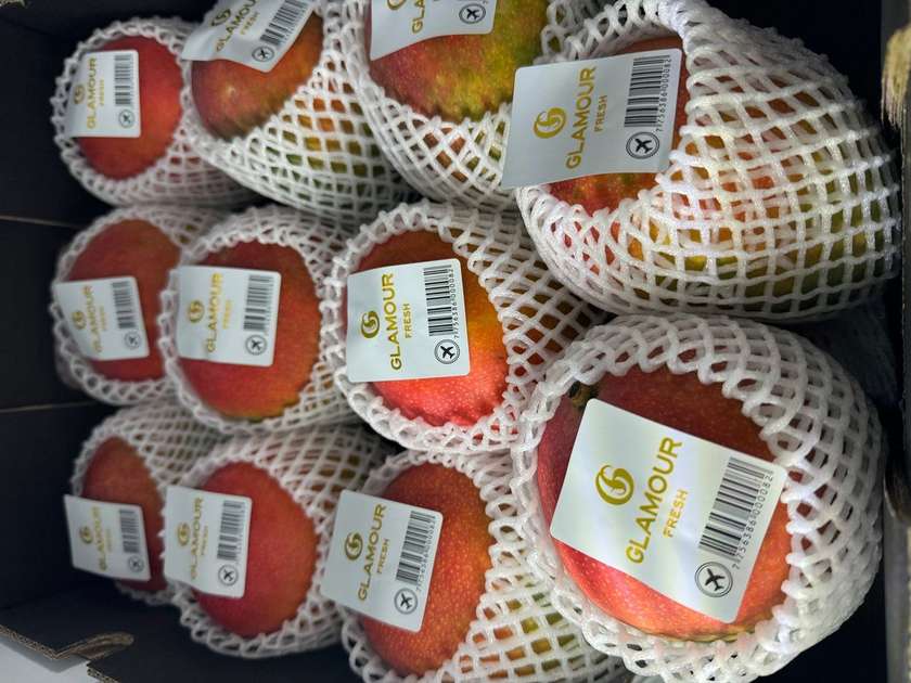 King Mango