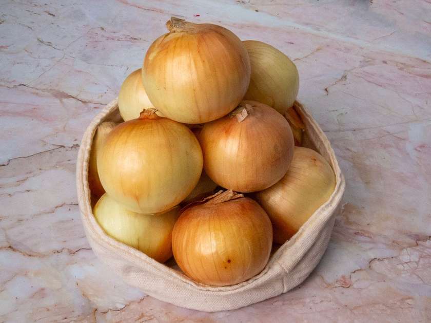Teze Soğan