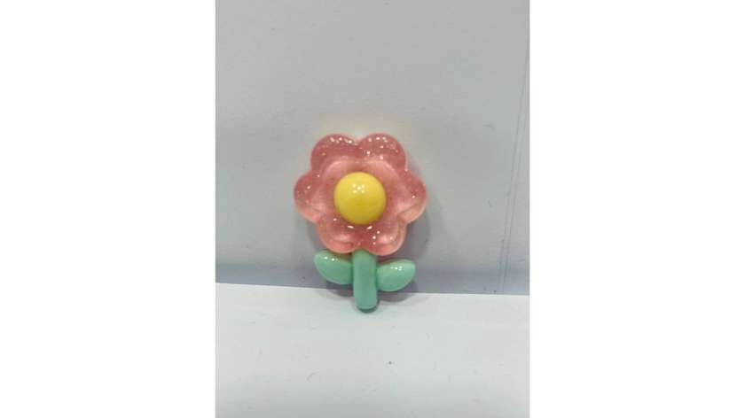 Case Accessory/2