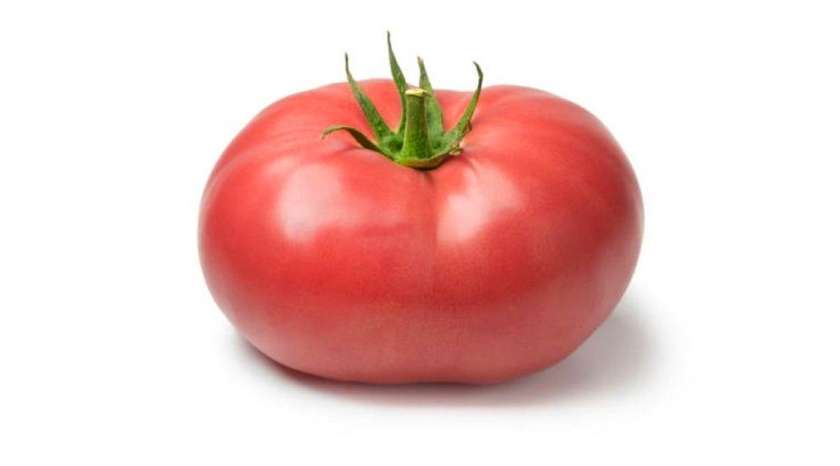 Pomidor Cəhrayı Premium