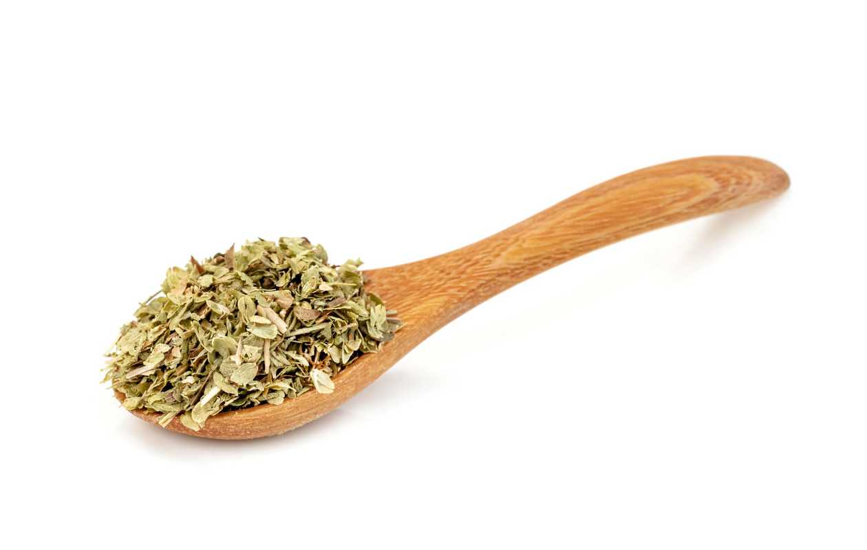 Oregano