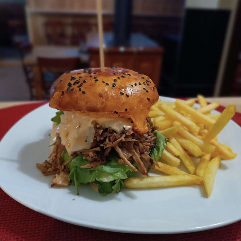 Hamburger with pulled pork, fries