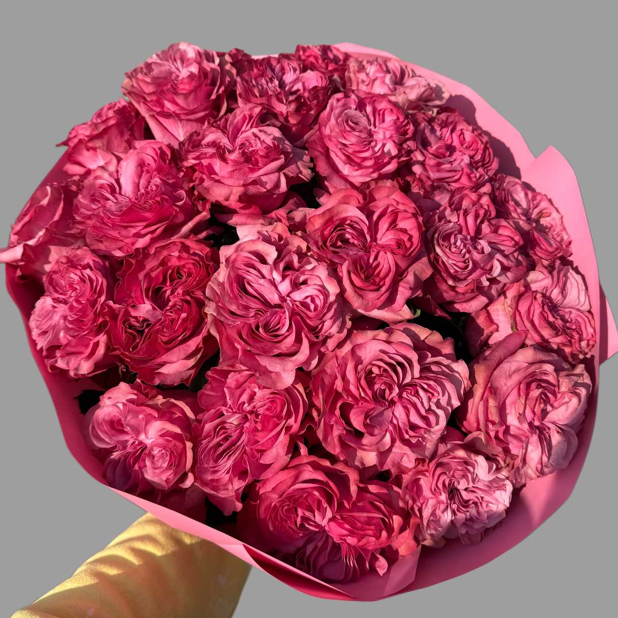 25 piwoniowych róż