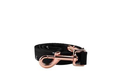 Rose Gold Lead 1.2M | 47" Small