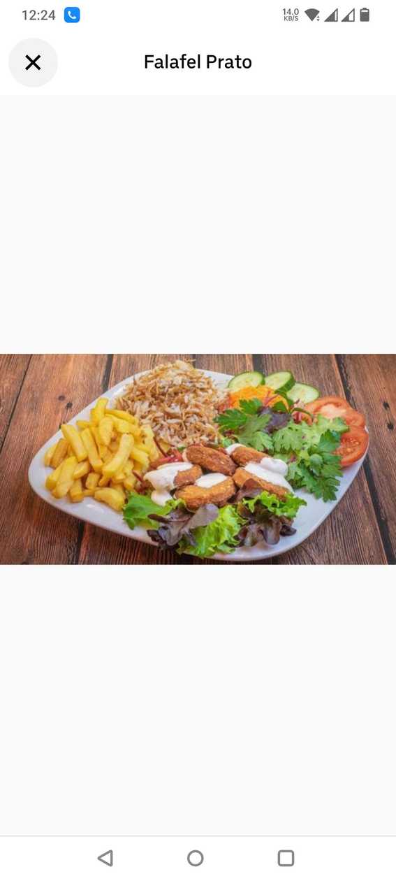 Copy of Falafel no Prato