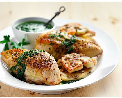 Chicken Paisley Sauce