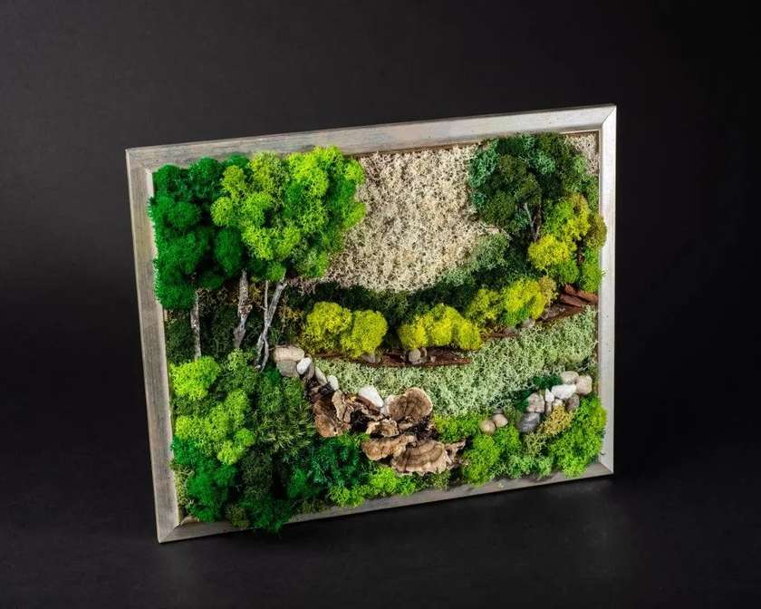 Paintings Lichen Landscape