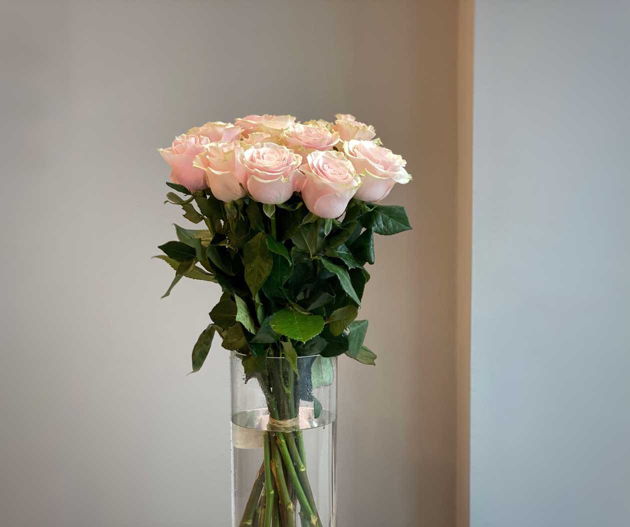 Kytica "Pink Roses"