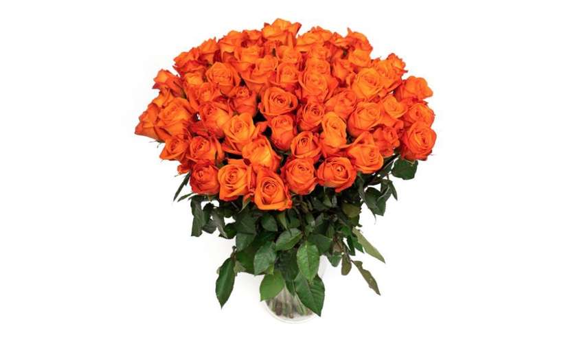 Rozes oranžās 50-60 cm