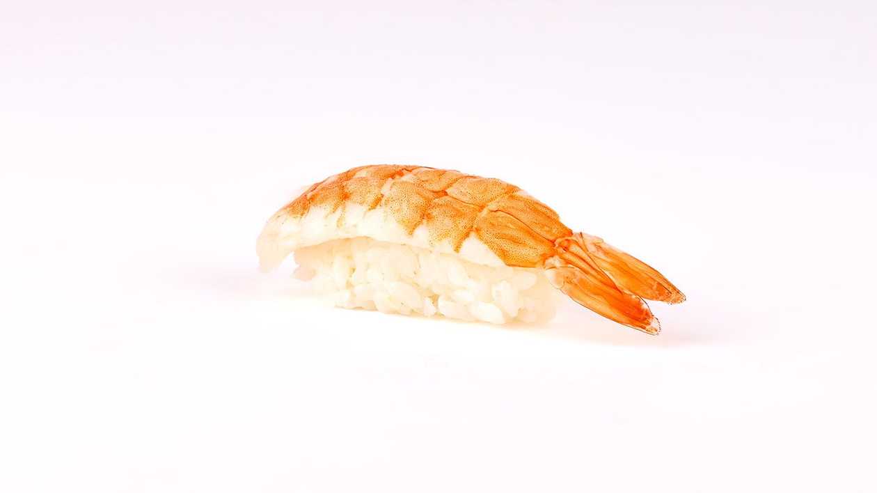 Nigiri Shrimp