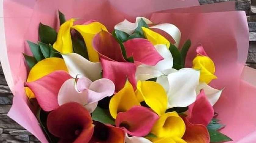 Calla Mix XL - 9 pcs