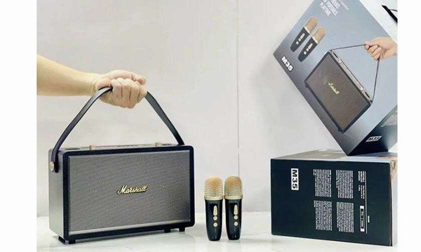 Dual Wireless Microphone karaoke Speaker M35