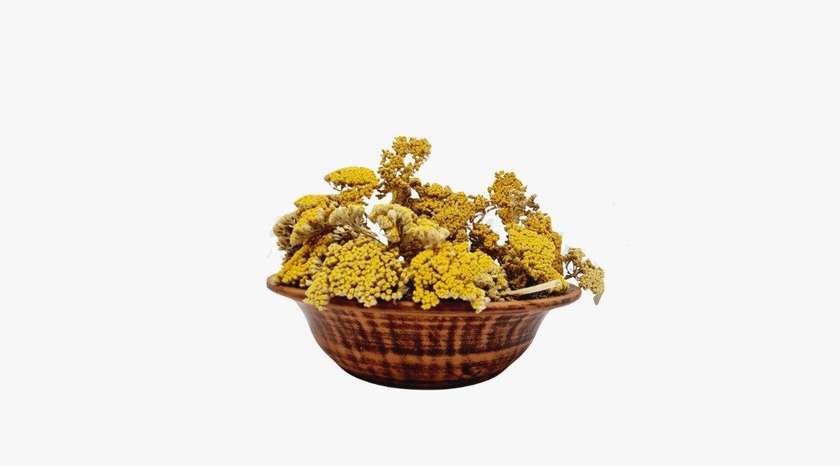 Yarrow 100 gr