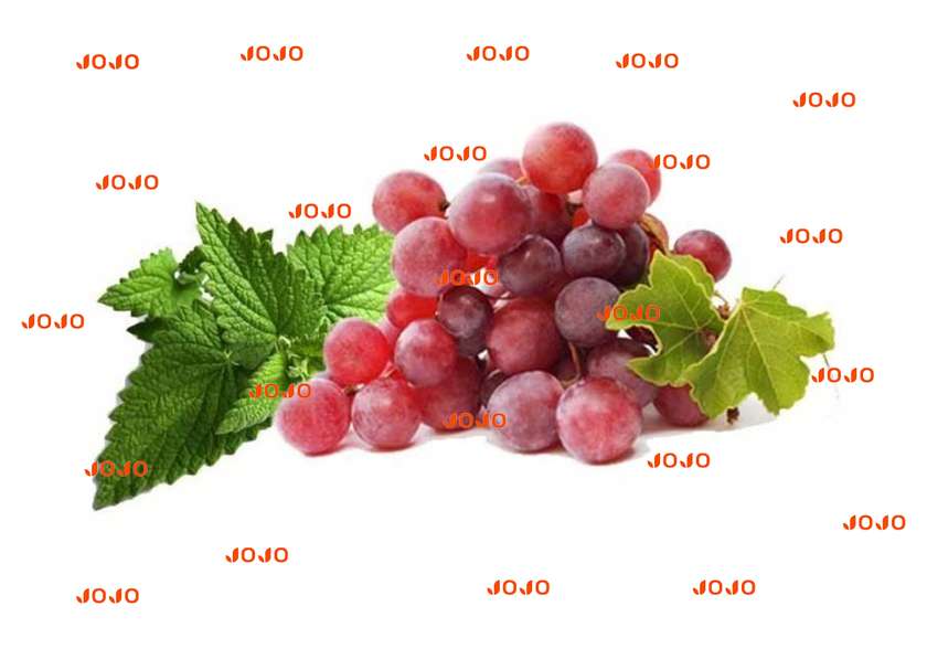 JoJo 10ml 0% Nikotinsiz Maye Üzüm Nanə