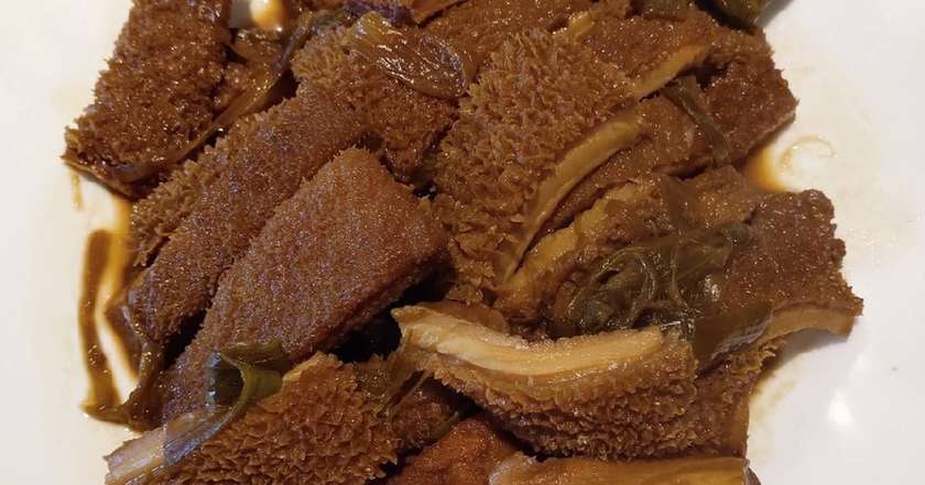 Intestine
