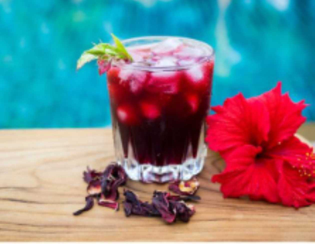 Hibiscus