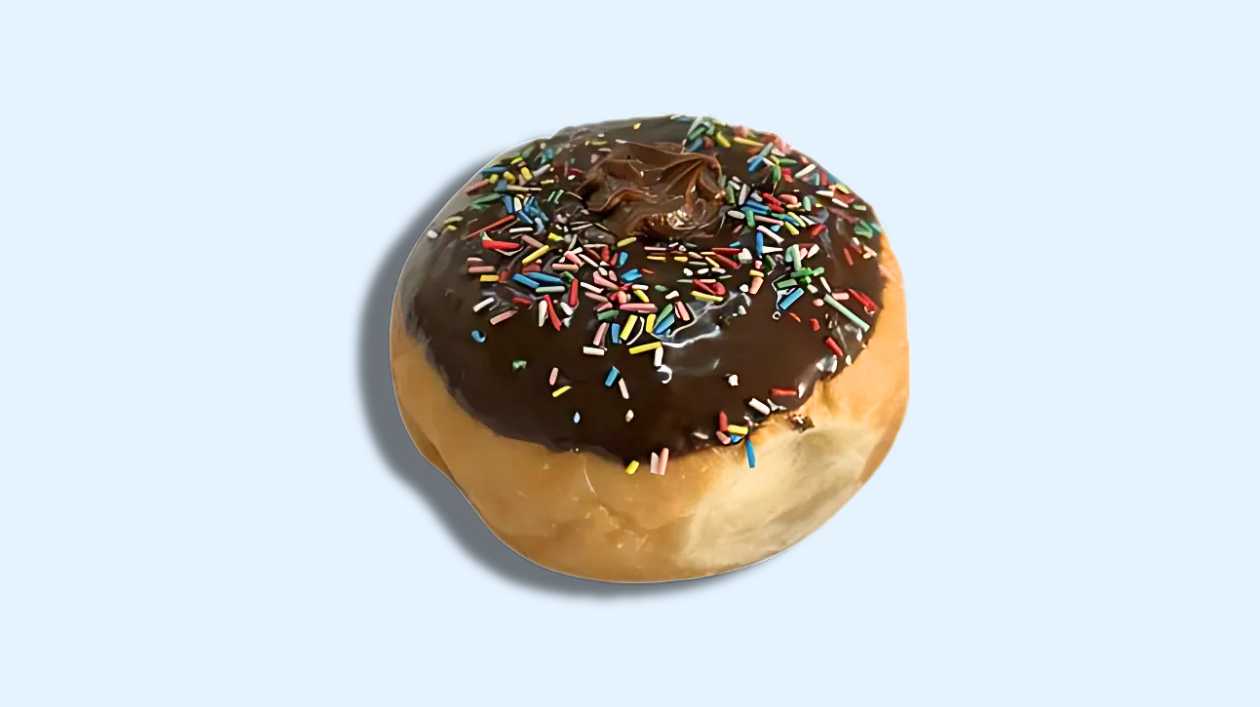 Chocolate & Sprinkles Doughnut
