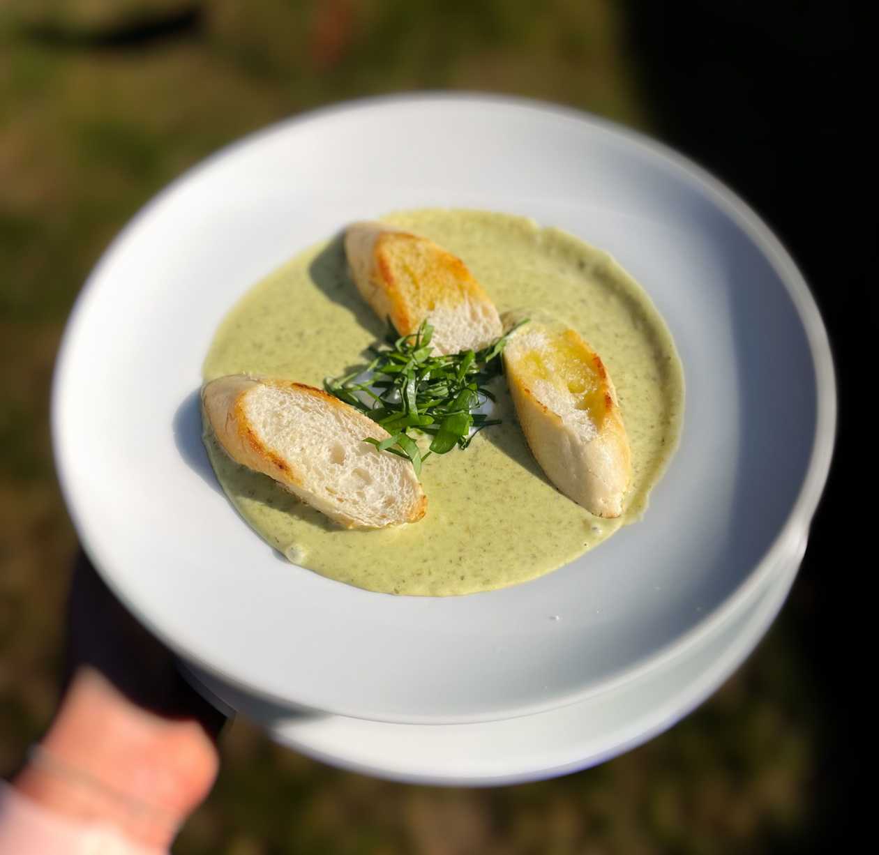 0,35l  Krémová  polievka  z  medvedieho  cesnaku