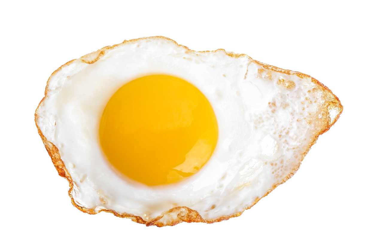 Fried egg