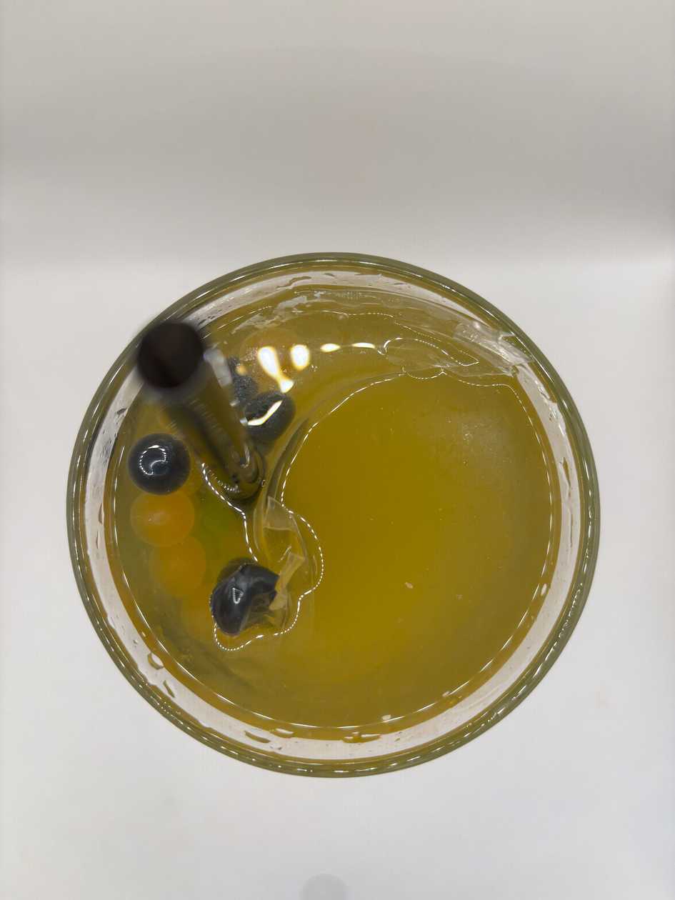 Make your own BUBBLE TEA