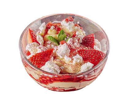 PAVLOVA