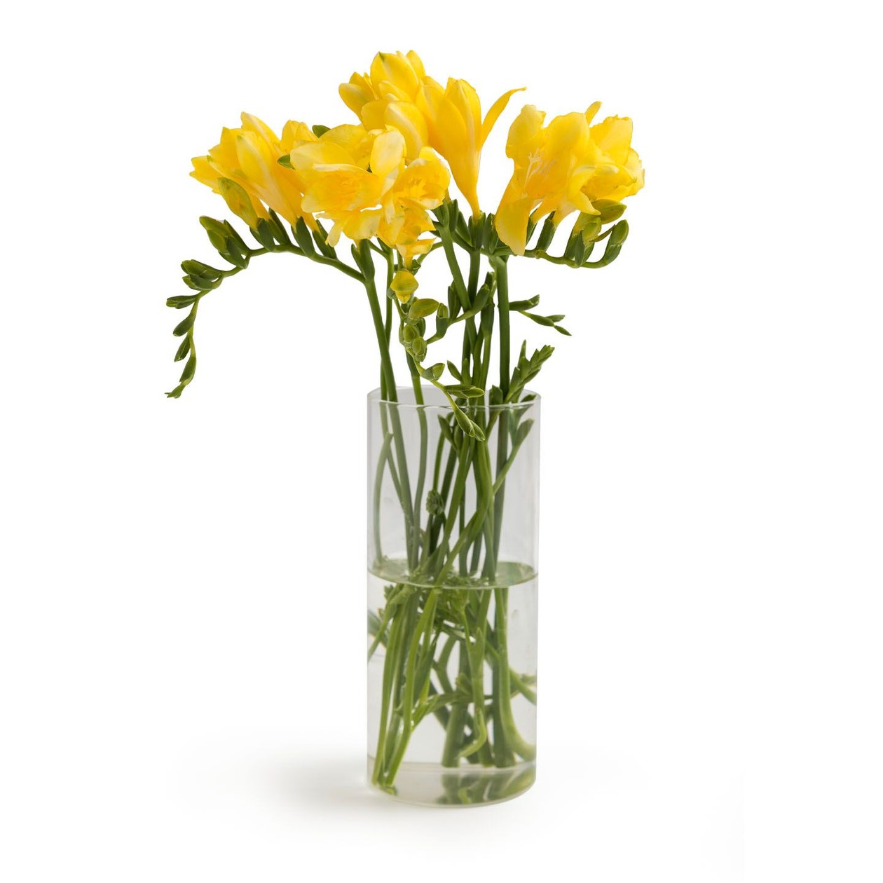 Buchet frezii 5 fire Carrefour La Piata