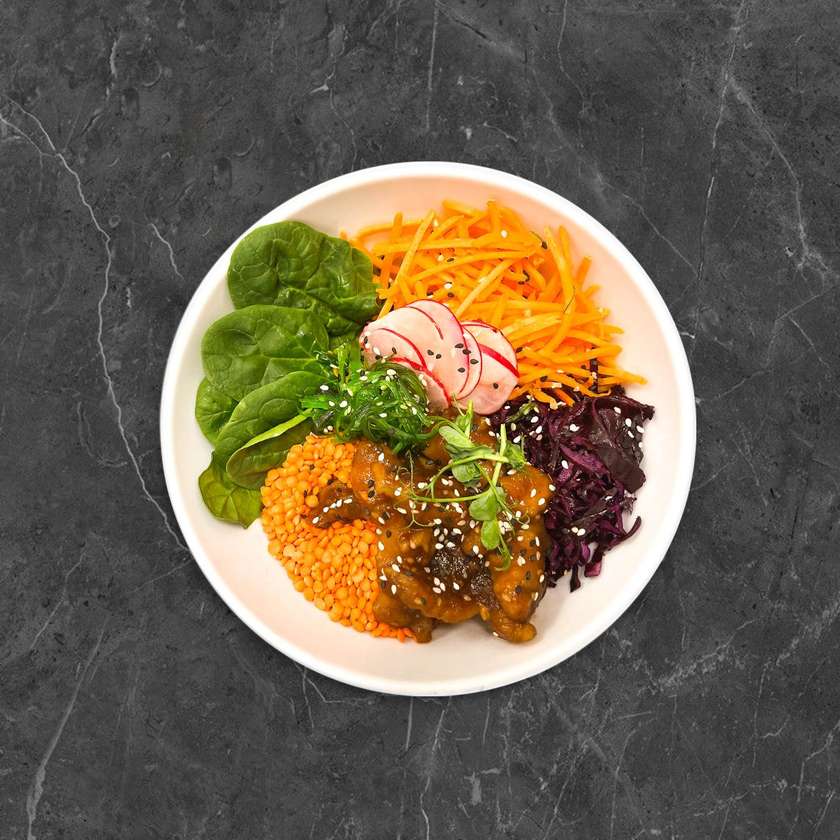 Bowl with oriental chicken