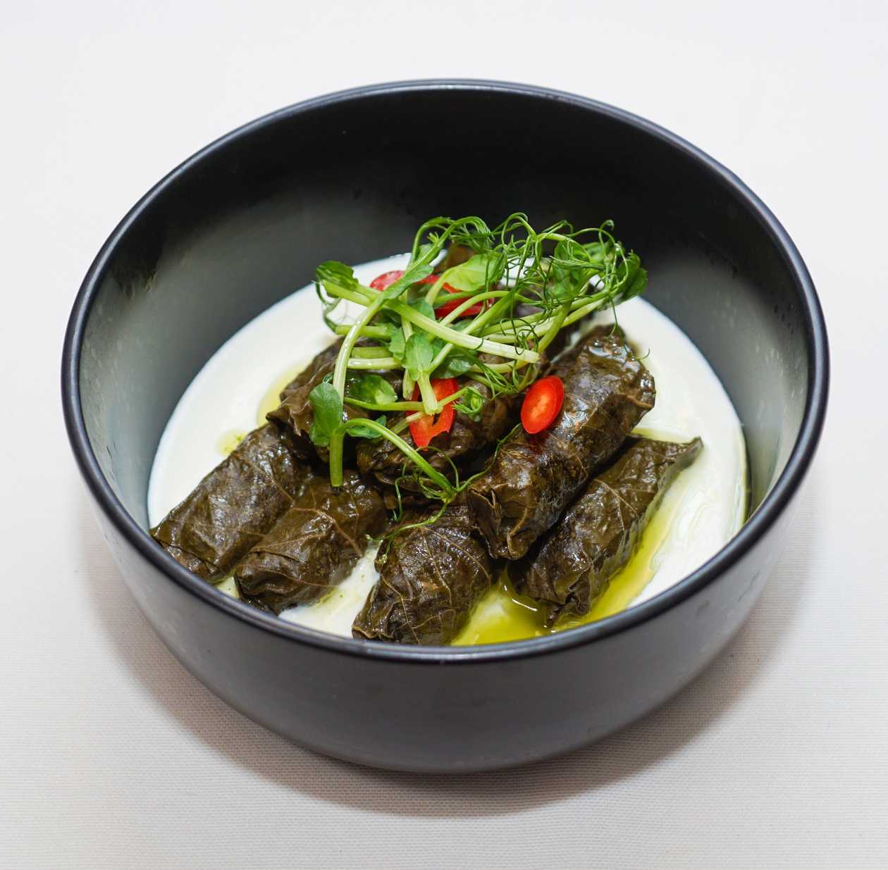 Dolma with Tzatziki Sauce