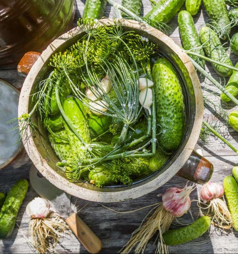 Lithuanian Fresh Pickled Cucumbers 600g