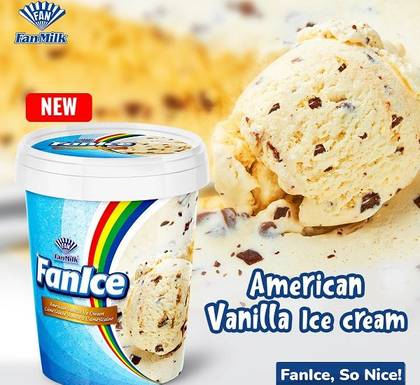 FanIce American Vanilla Ice Cream, 500ml